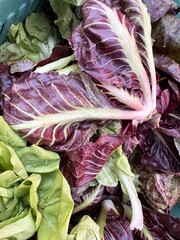 Obraz premium Fresh red and green lettuce leaves in market display