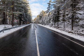 Fototapeta premium Frozen snowy icy dangerous in the mountain in winter. Troodos forest Cyprus