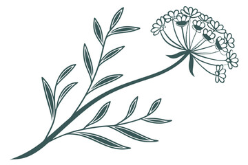 Create an image of (Fennel Flower) minimalist simple vector with a white background