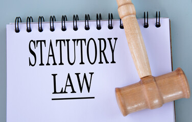 STATUTORY LAW - words in a notebook on a gray background with a judge's gavel