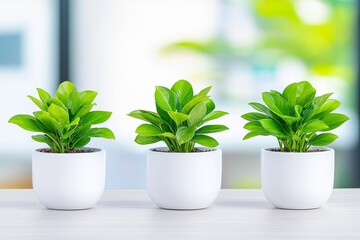 Obraz premium Biophilic Design Office Spaces - Workspaces with living green walls and natural light to enhance workplace well-being - AI Generated