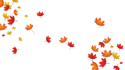 Maple Leaf- Canada Golden Background Transparent Vector. Leaves Decoration Illustration. Yellow Realistic Plant. Nature Leaf Design.