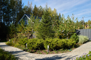 A Tranquil Garden Pathway that is Beautifully Surrounded by Lush, Vibrant Foliage and greenery