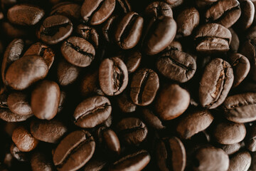 Close-Up of Coffee Beans in Detail