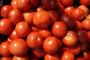 Fresh red tomatoes in close up