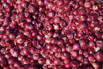 Fresh onions in close up in the vegetable market