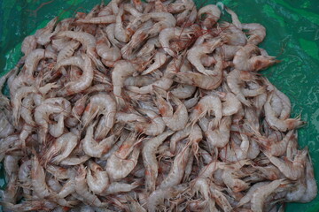 Small shrimp in the fish market