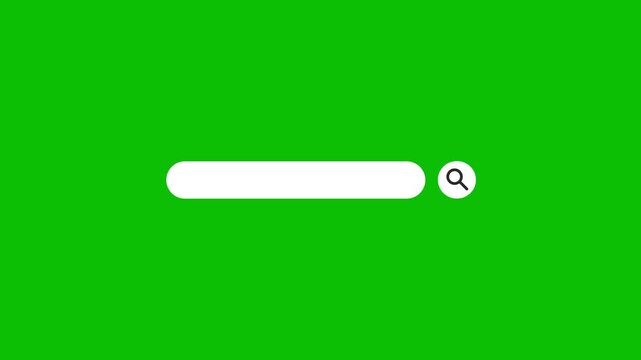 Animation, the search bar on a Green screen background. Modern seamless motion design.