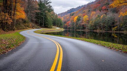 Fototapeta premium Winding Road Turning into River with Tree Lined Sides
