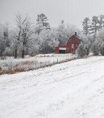 Old red weathered barn in snow covered trees on the farm