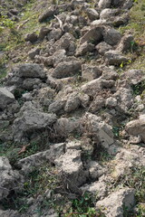 Large mould of friable soil found beside the field