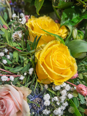 Yellow Roses Surrounded by Greenery and Baby's Breath