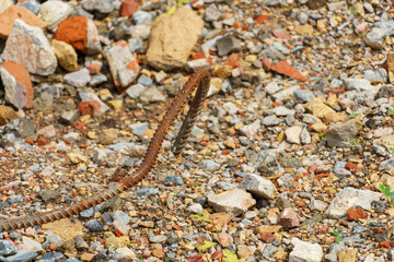 Old rusty metal fittings against a background of piles of stones and other construction debris. Construction background.