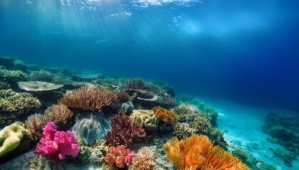 Fototapeta premium Cinematic Moments: Vibrant Coral Reef Beneath Crystal-Clear Ocean Waters