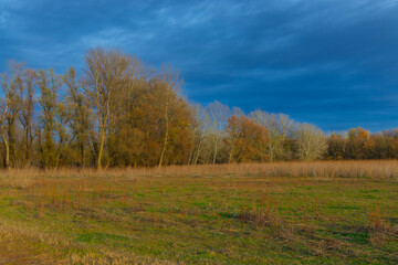Field in Martely near Tisza