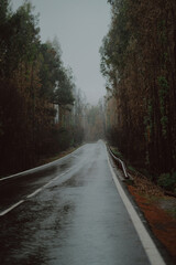 Rainy and Foggy Road in La Esperanza, Tenerife with Winter Landscape