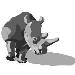 rhino cartoon isolated