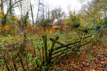 English autumn or fall scene, emphasis on red.