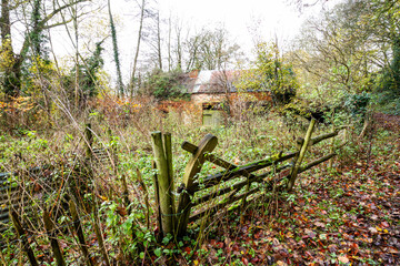 English autumn or fall scene, ruin in background.