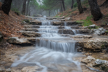 Naklejka premium Cascading Water Flows Down Stone Steps In A Forest
