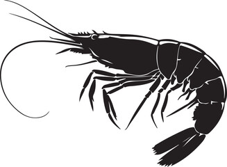 A clean silhouette vector of a shrimp in a graceful side view with highlighting its elongated body and curved tail, crayfish on white background