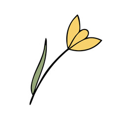 summer flower illustration flat design