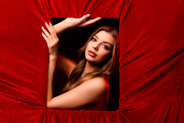 Portrait of attractive gorgeous tender lady posing isolated on red color velvet background