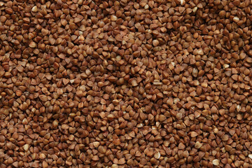 Buckwheat groats, top view. Raw large buckwheat grains, uncooked porridge. Buckwheat background. Raw buckwheat texture background, brown grains pattern