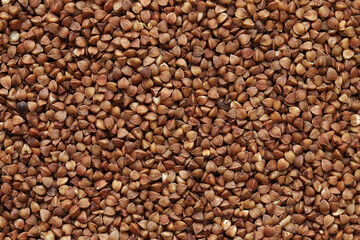 Buckwheat groats, top view. Raw large buckwheat grains, uncooked porridge. Buckwheat background. Raw buckwheat texture background, brown grains pattern