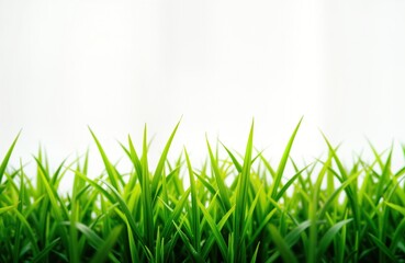 Fototapeta premium Closeup view of fresh green grass. Vivid green color. Springtime scene. Bright background. Ideal nature photo. Fresh plant. Rich vegetation. Beautiful landscape. Natural springtime backdrop. Perfect