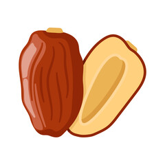 Dried sweet dates fruit vector illustration. Brown dates fruit.