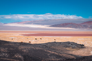 landscape with mountain and lake