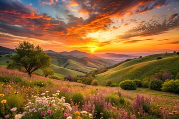 Soft sunset paints 2024's peach fuzz landscape with golden hour's warm embrace.