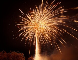 Radiant Fireworks Display Against a Night Sky