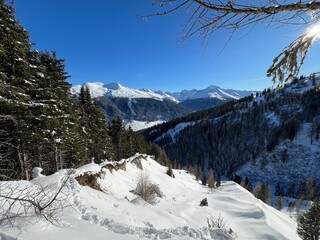 Fototapeta premium Wonderful winter hiking trails and traces in the fresh alpine snow cover of the Swiss Alps and over the tourist resort of Davos - Canton of Grisons, Switzerland (Kanton Graubünden, Schweiz)