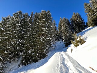 Wonderful winter hiking trails and traces in the fresh alpine snow cover of the Swiss Alps and over the tourist resort of Davos - Canton of Grisons, Switzerland (Kanton Graubünden, Schweiz)