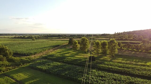 rural landscape with power lines