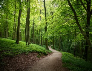 Obraz premium A Winding Path through a Forest of Fresh Green Leaves