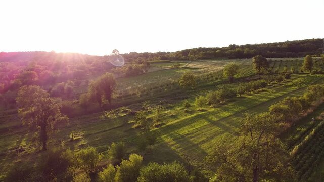 rural orchard in hills