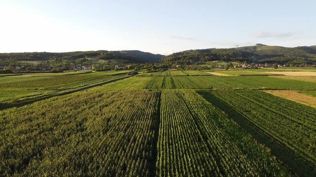 rural farmland landscape