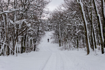 A trail leads through freshly fallen snow at High Point State Park, NJ, copy text space