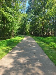 path in the park