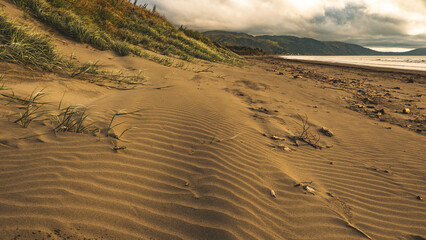 Beach sand close up smooth clear dunes ripple texture details warm colour golden 