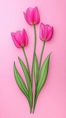 Three elegant pink tulips bloom against a soft pink backdrop, their vibrant petals contrasting beautifully with fresh green leaves, celebrating love's gentle charm.