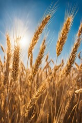 Fototapeta premium Nature wallpaper background images concept