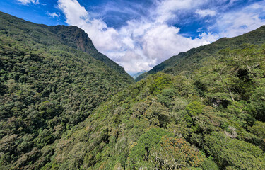 Naklejka premium Green Mountains Surrounded by Crops on a Slightly Cloudy Day in Salento, Quindío, Colombia 