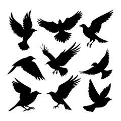 Obraz premium Bird flying shilhouette blac color