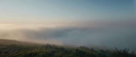 Fototapeta premium Admiring hazy summer days against soft blue skies enveloping simple joys together