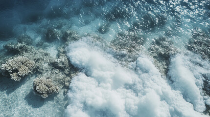 Fototapeta premium Bleached coral reef beneath clear waters, showcasing environmental impact