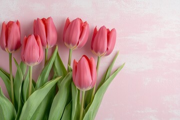 Naklejka premium A stunning display of vibrant pink tulips, each delicate petal neatly arranged in a perfect row against a soft pastel pink textured background